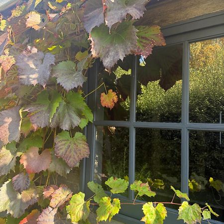 Elm Cottage Barn Oatlands エクステリア 写真