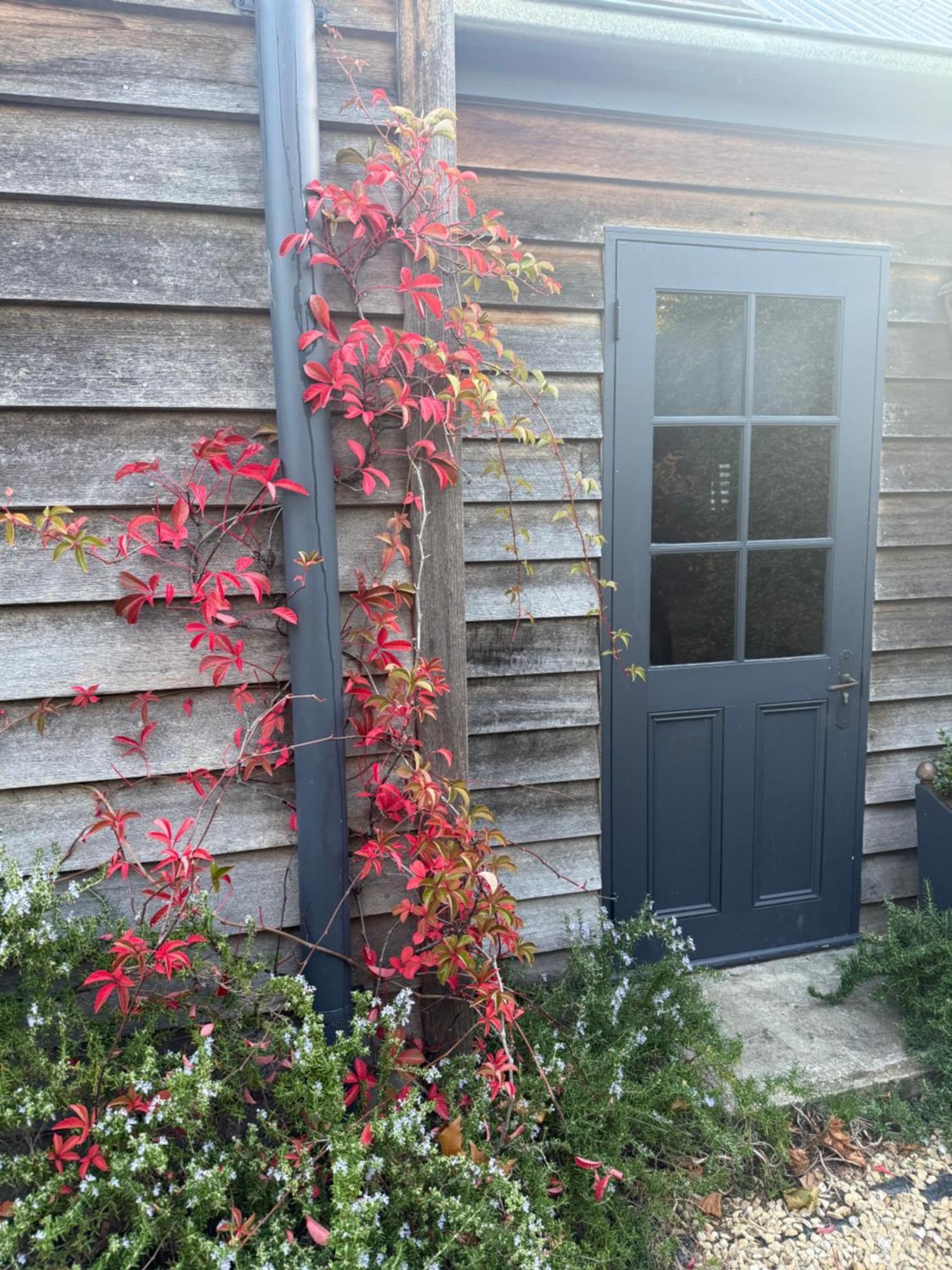 Elm Cottage Barn Oatlands エクステリア 写真
